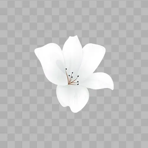 White Flower beautiful watercolour free png